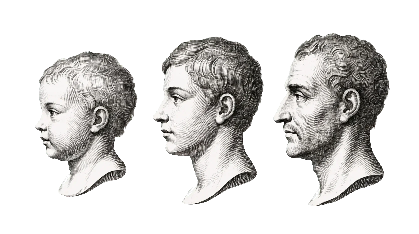 Graphite comparison of facial growth from childhood to adulthood